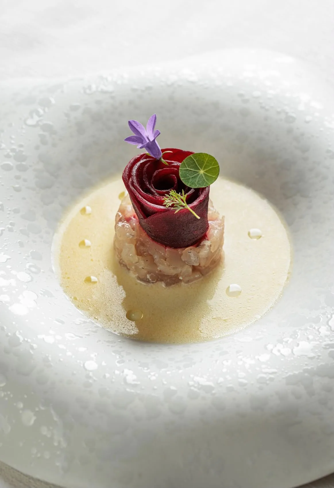 Tartare di pesce a cilindro sormontata da una rosa di barbabietola rossa con fiore edulo viola, fogliolina verde e aneto, su salsa chiara in un piatto bianco a rilievo